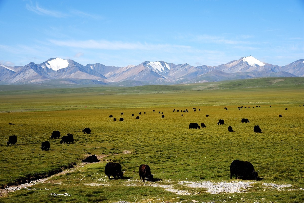 二尕公路南侧石棉矿附近景色