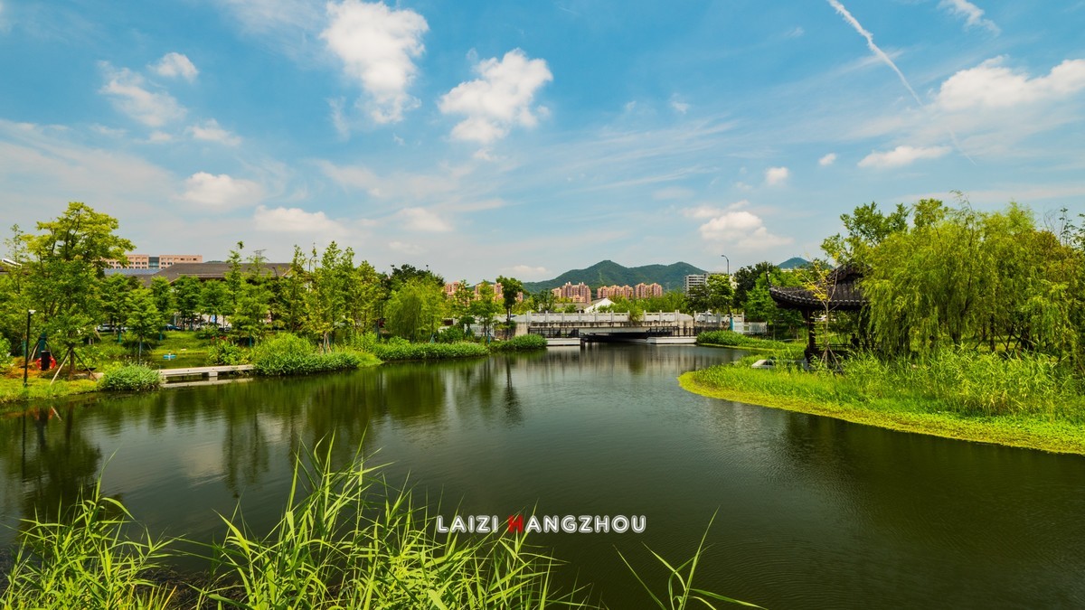 夏景(3)-中关村在线摄影论坛