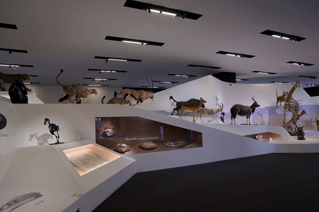 共同家园--大自然的奇迹