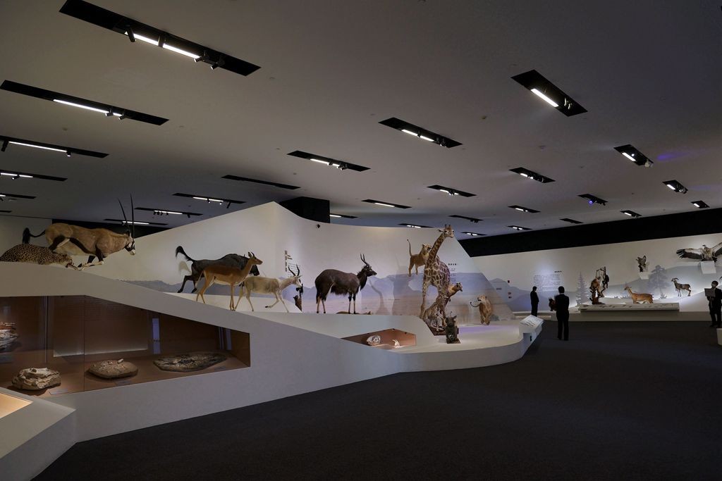 共同家园--大自然的奇迹