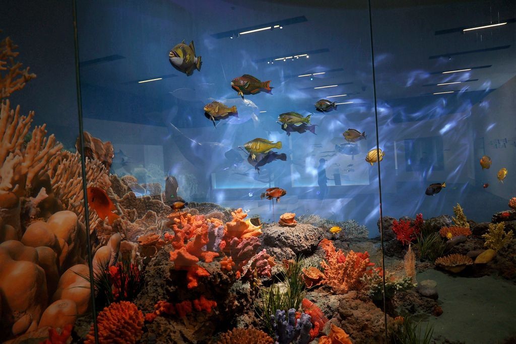 共同家园--大自然的奇迹