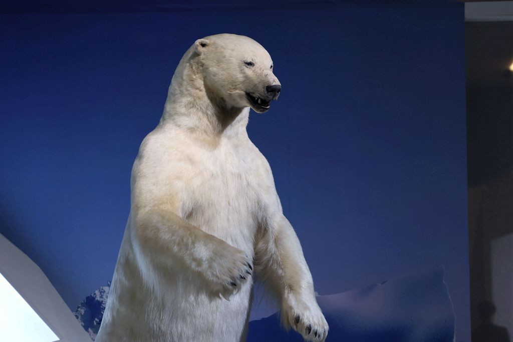 共同家园--大自然的奇迹