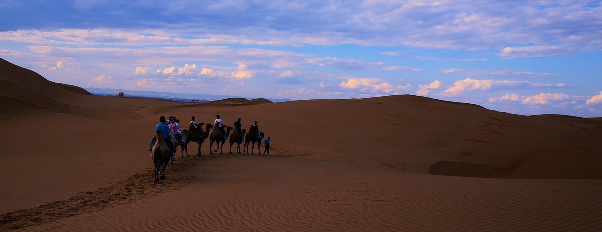 黄沙漫漫驼铃声第二组