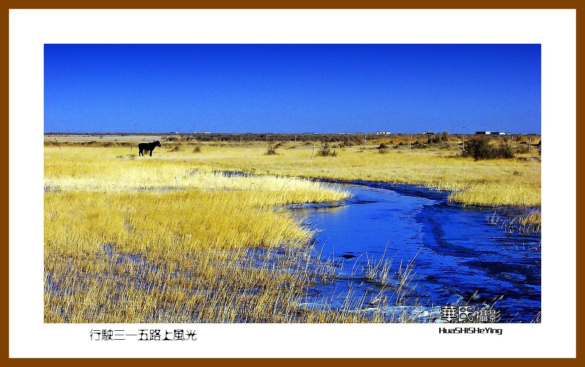 2023西行游记（青海082）—行驶三一五路上风光之一（海西州）