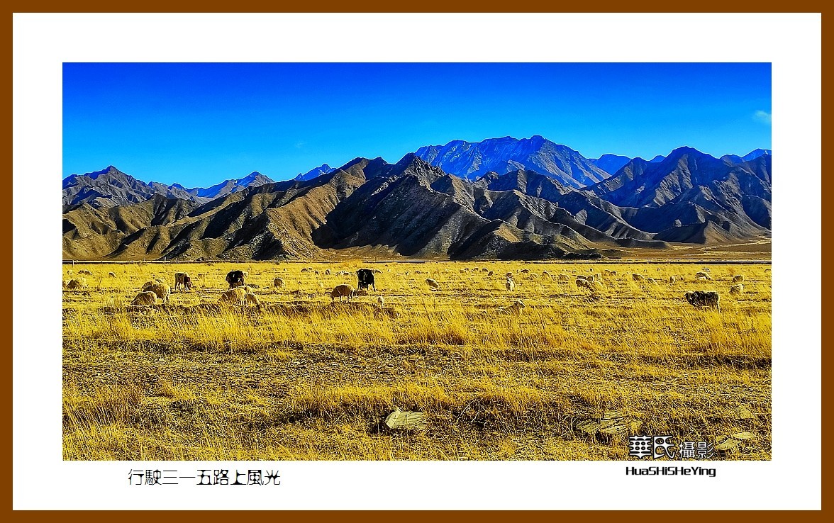 2023西行游记（青海082）—行驶三一五路上风光之一（海西州）