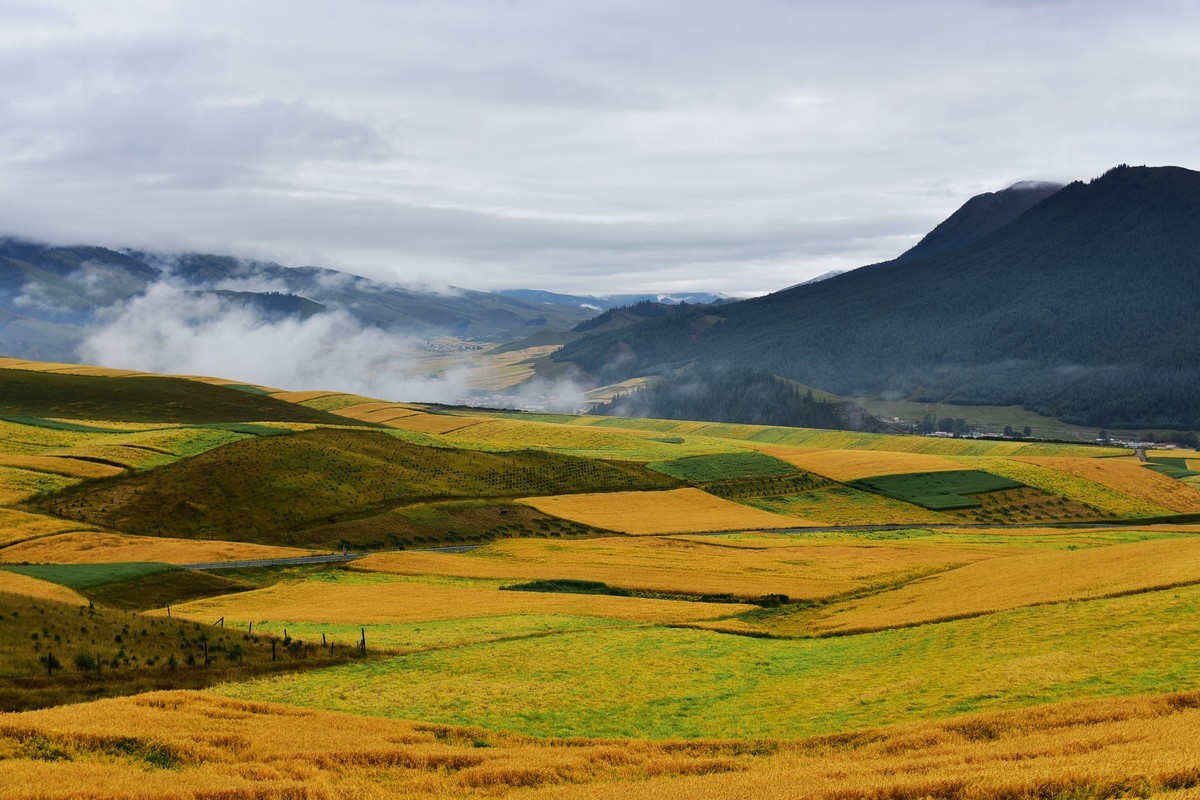 卓尔山风光（6）