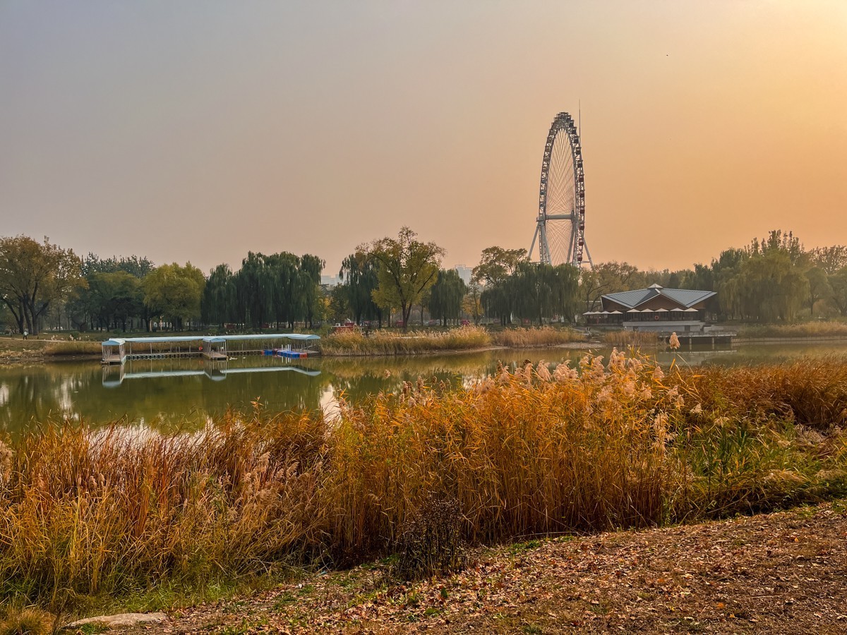 2024年第0847贴-龙潭公园纪实游拍（1110）