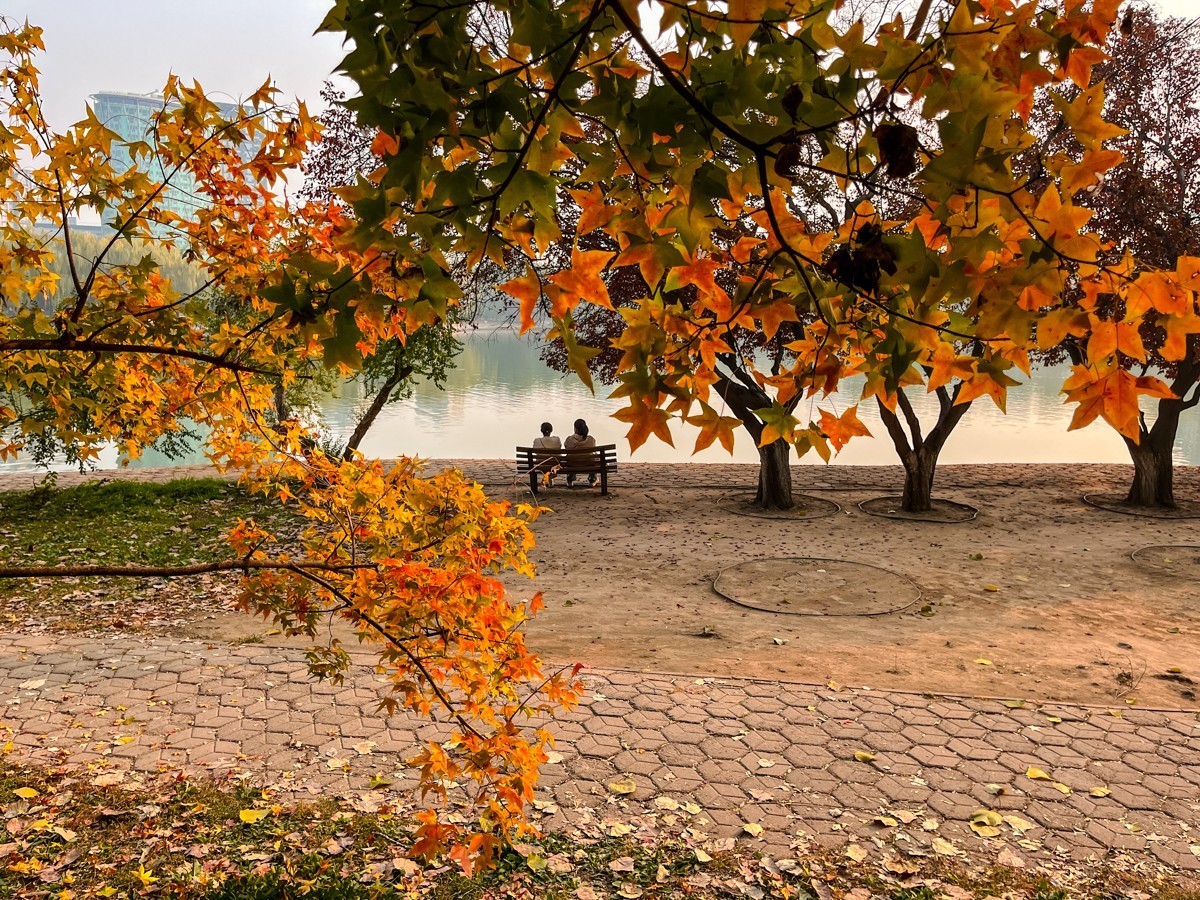 2024年第0847贴-龙潭公园纪实游拍（1110）