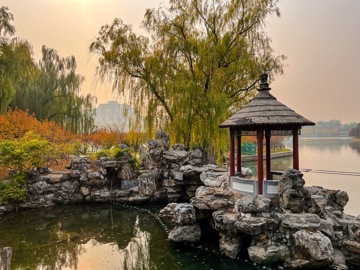 2024年第0847贴-龙潭公园纪实游拍（1110）