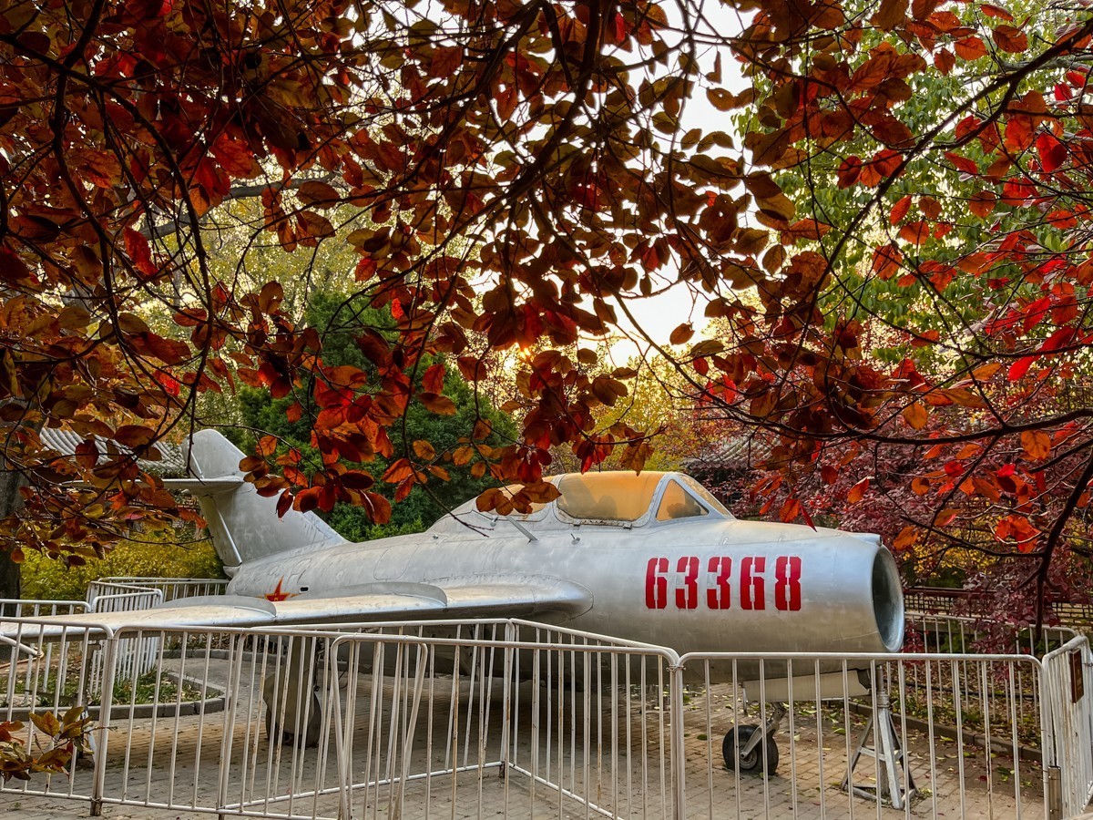 2024年第0847贴-龙潭公园纪实游拍（1110）