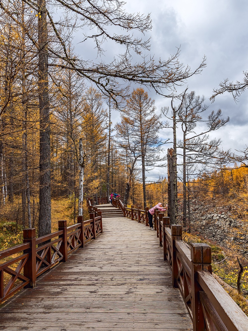 旅游记录 ：内蒙古 · 兴安盟 · 阿尔山 · 阿尔山国家森林公园