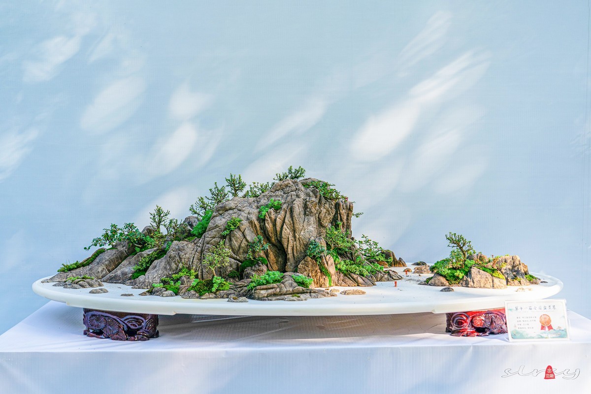 第十一届全国盆景展（七）水石类（2）