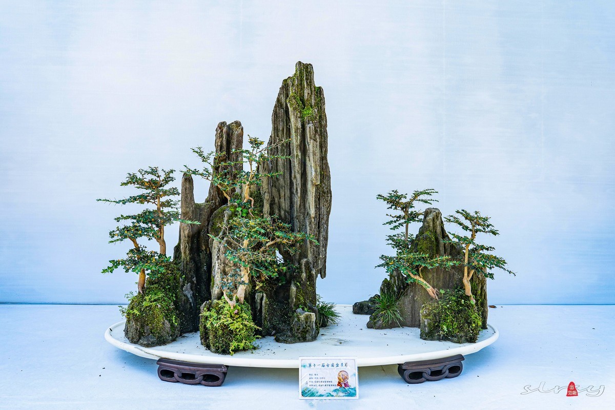 第十一届全国盆景展（七）水石类（2）