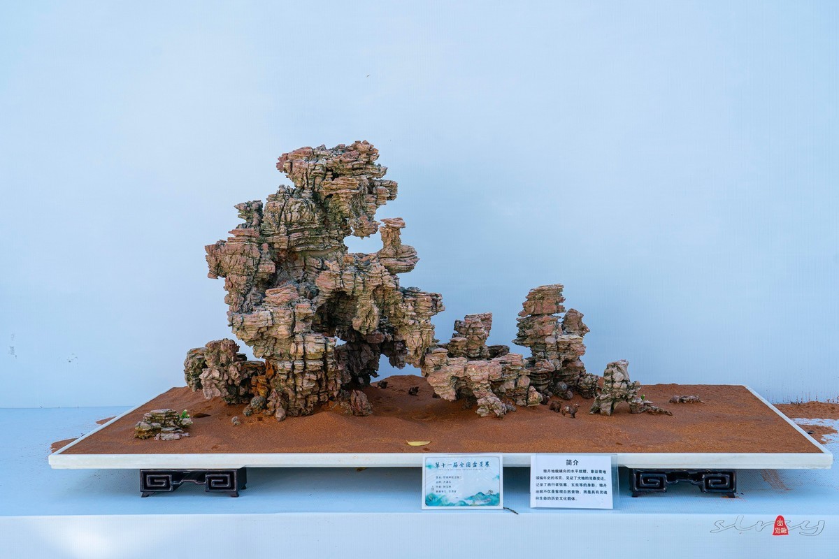 第十一届全国盆景展（七）水石类（2）