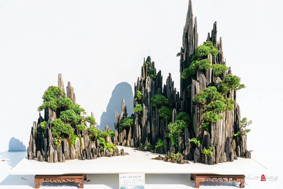 第十一届全国盆景展（七）水石类（2）