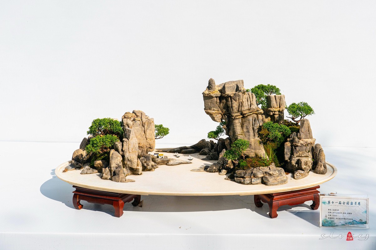 第十一届全国盆景展（七）水石类（2）