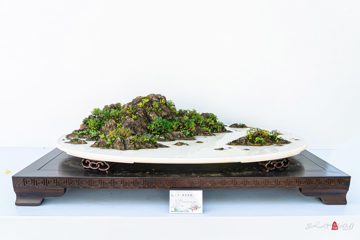 第十一届全国盆景展（七）水石类（2）