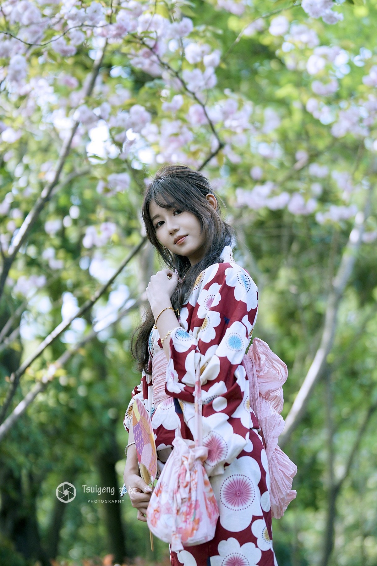 故乡的樱花开了