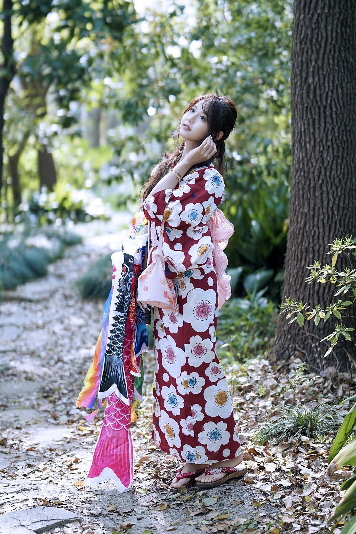 故乡的樱花开了