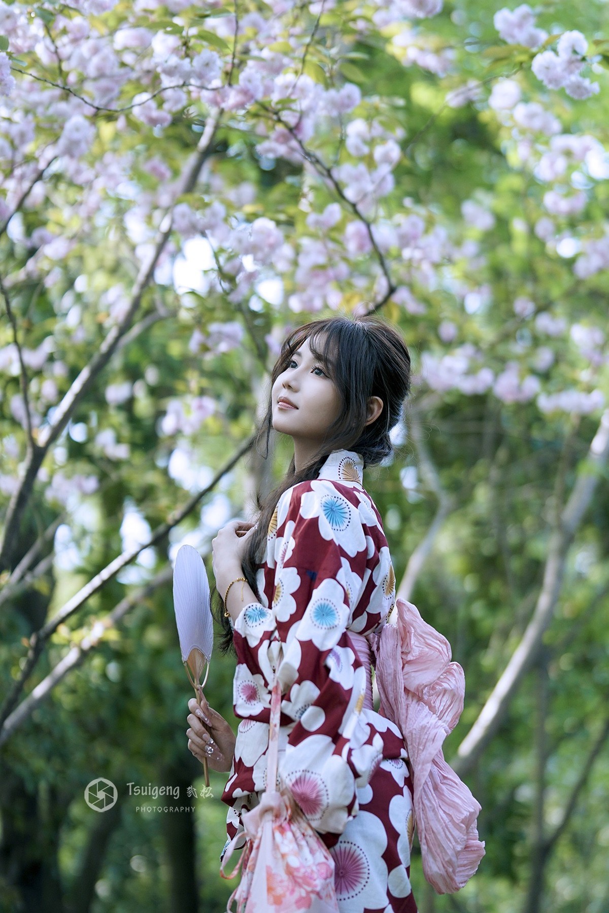 故乡的樱花开了