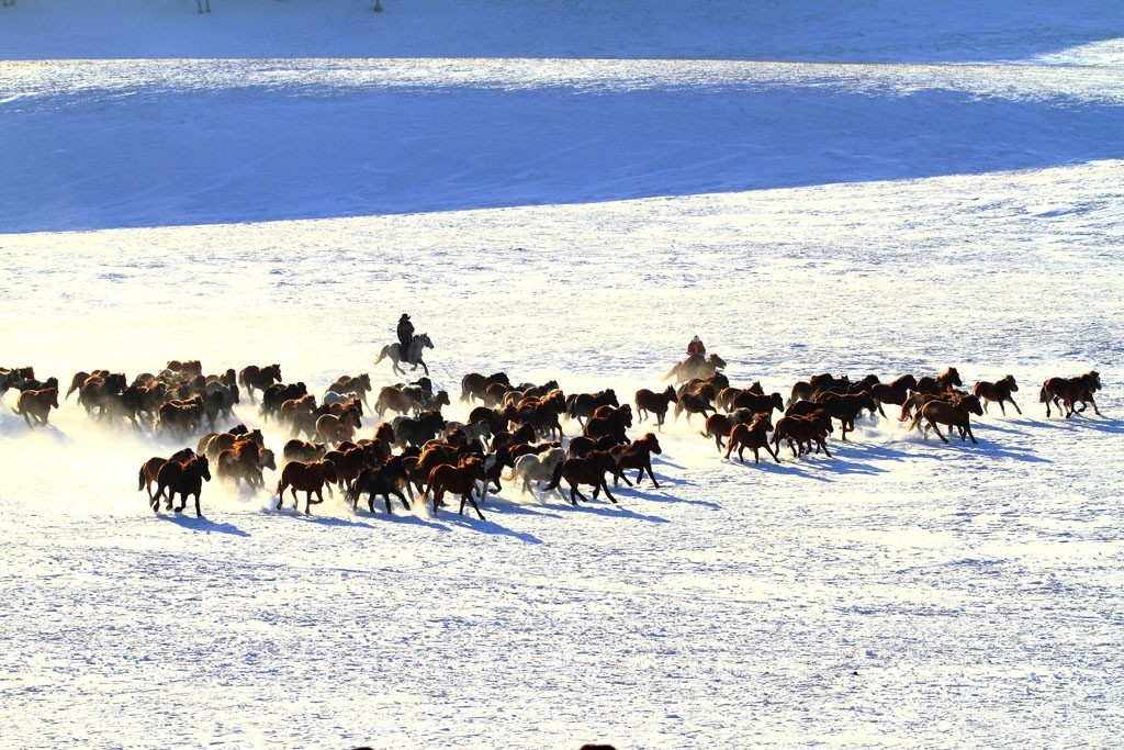 美丽的草原我的家