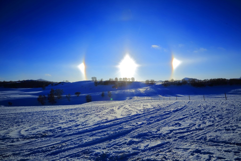 美丽的草原我的家