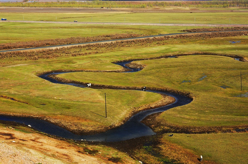 美丽的草原我的家