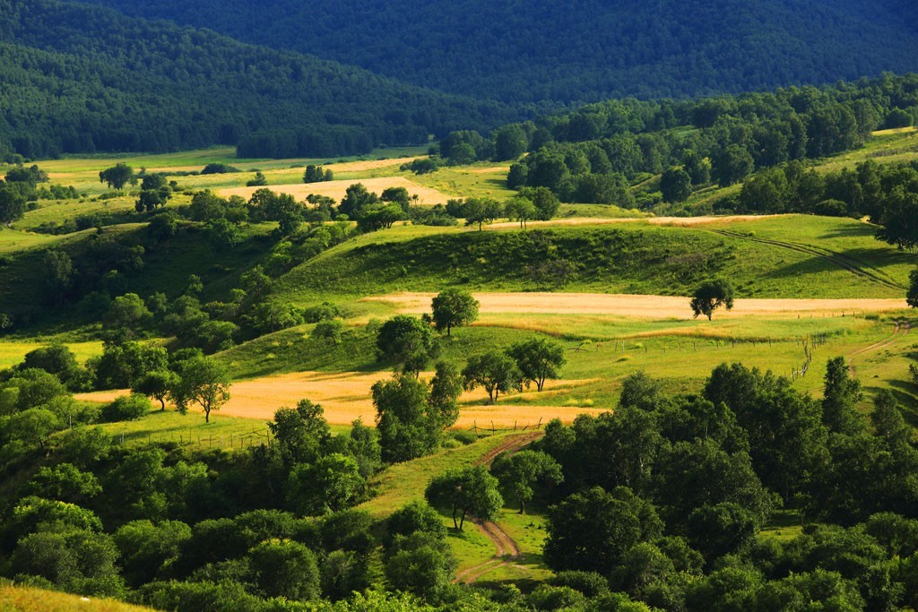 美丽的草原我的家