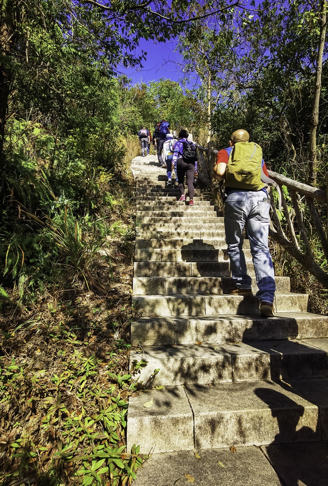 深圳马峦山 ~ 掠影