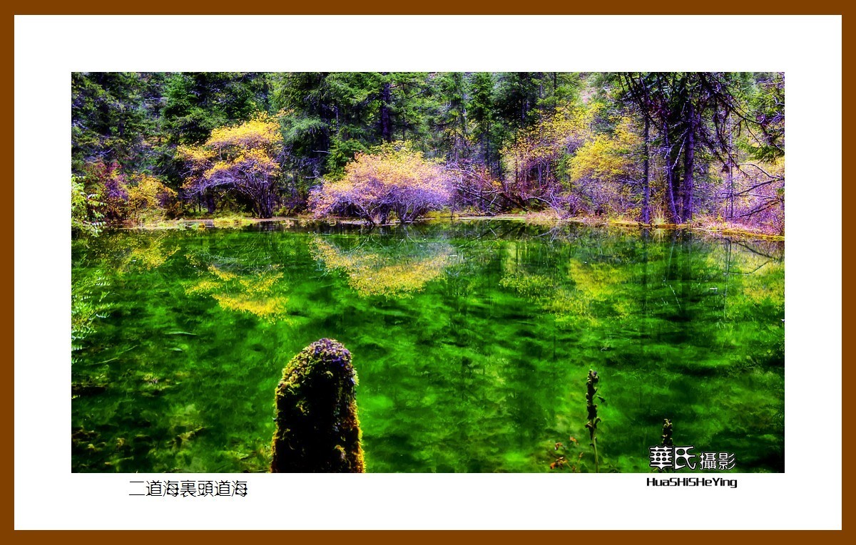 2020西西南北行游走川西160二道海里头道海之二阿坝州松潘县牟尼沟