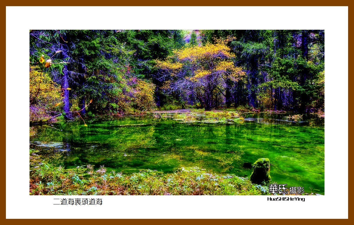 2020西西南北行游走川西160二道海里头道海之二阿坝州松潘县牟尼沟