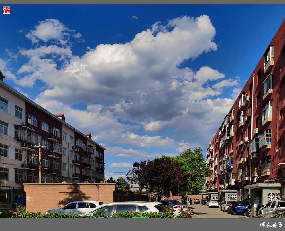 【手机随拍】天高云淡 秋高气爽