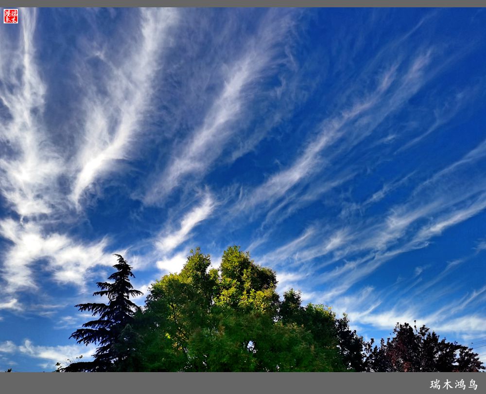 【手机随拍】天高云淡 秋高气爽