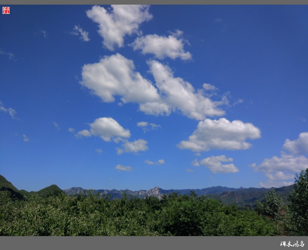 【手机随拍】天高云淡 秋高气爽
