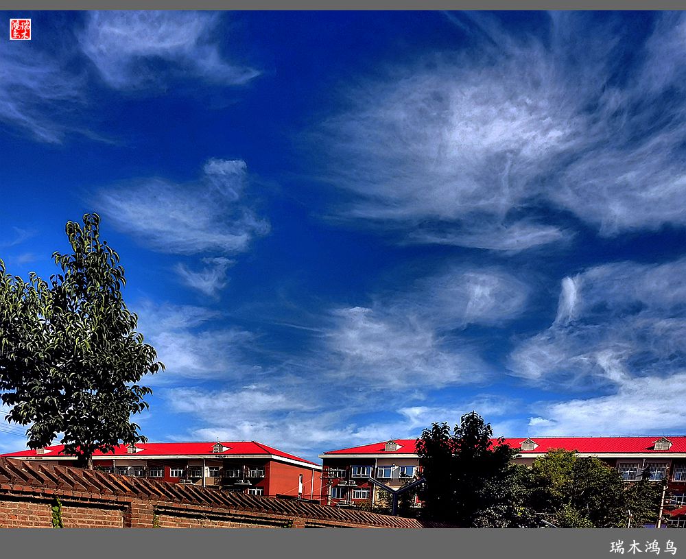 【手机随拍】天高云淡 秋高气爽