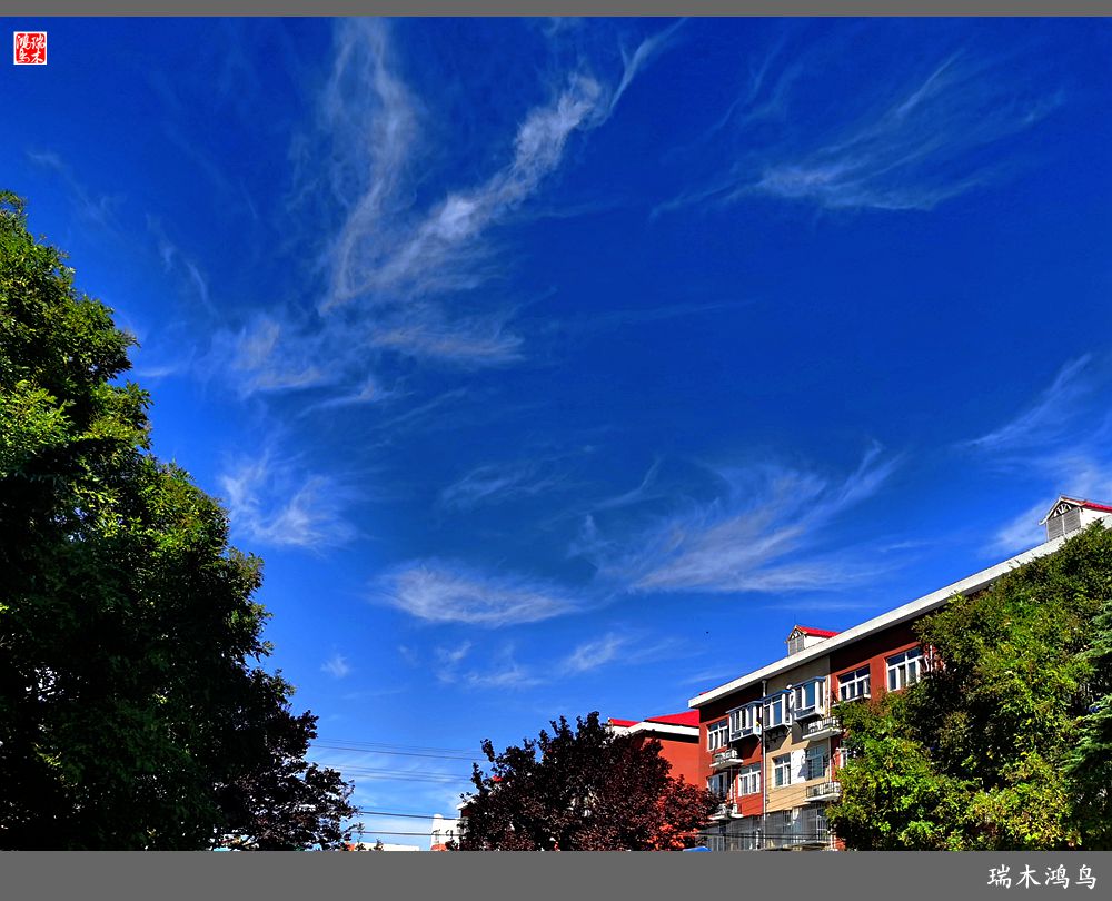 【手机随拍】天高云淡 秋高气爽