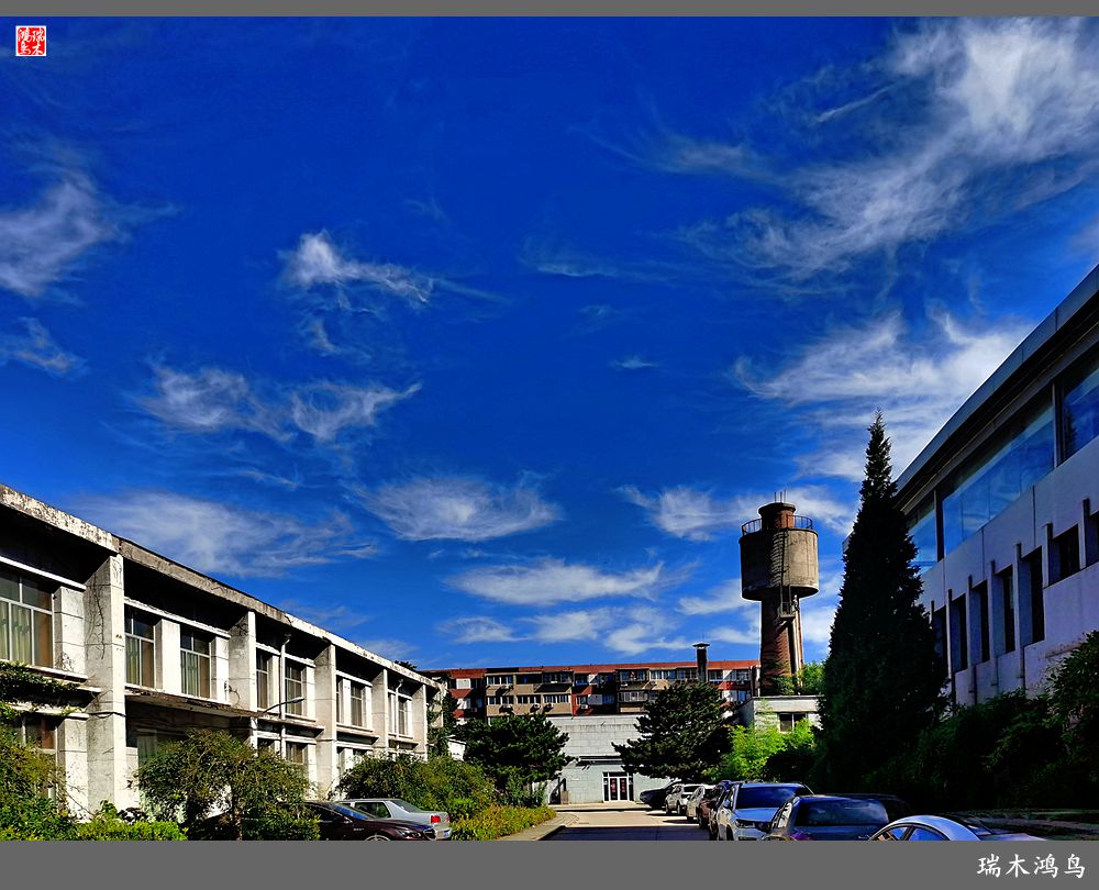 【手机随拍】天高云淡 秋高气爽