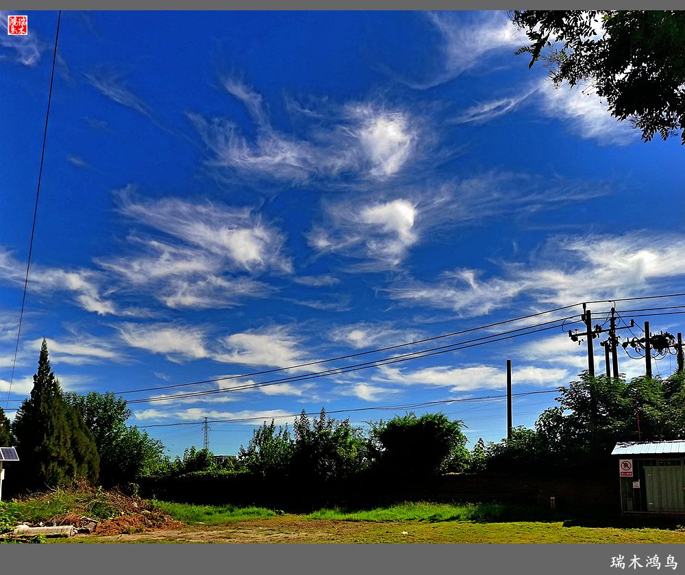 【手机随拍】天高云淡 秋高气爽