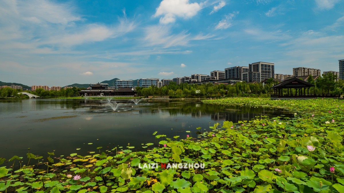 夏景(3)-中关村在线摄影论坛