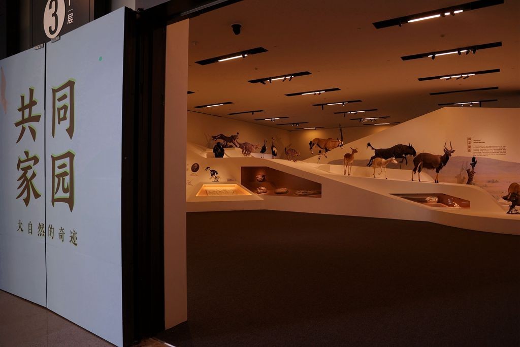 共同家园--大自然的奇迹