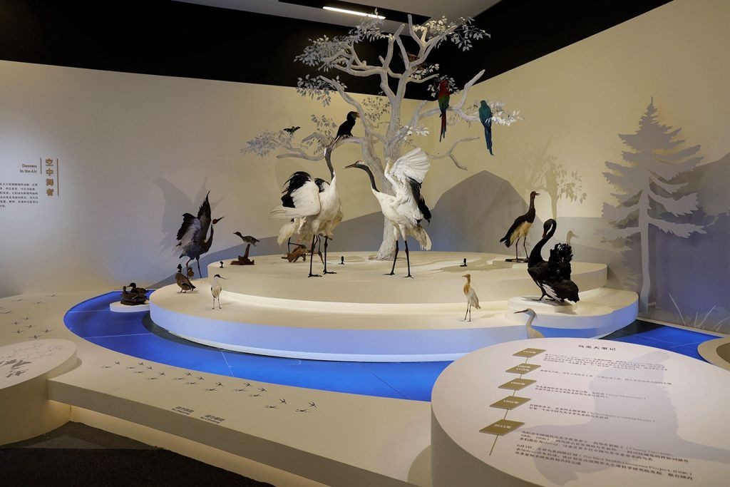 共同家园--大自然的奇迹