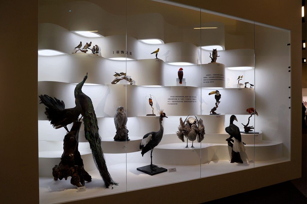 共同家园--大自然的奇迹