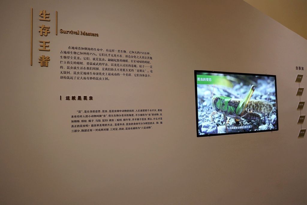 共同家园--大自然的奇迹