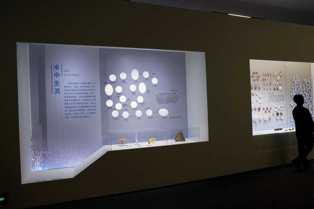 共同家园--大自然的奇迹