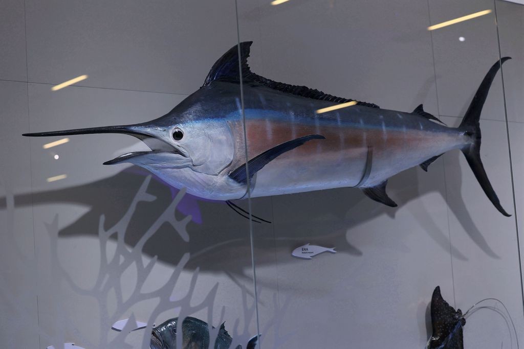 共同家园--大自然的奇迹