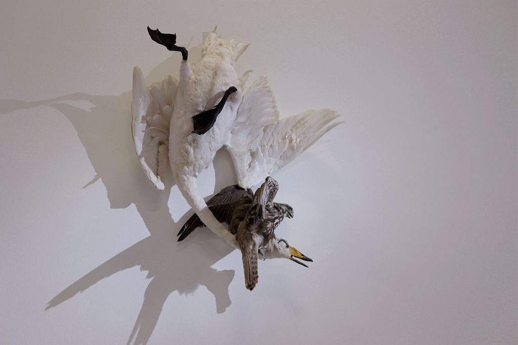 共同家园--大自然的奇迹