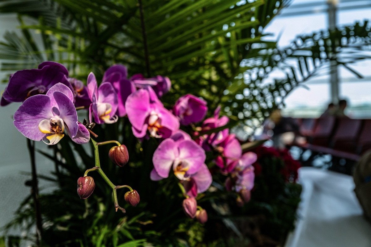 拜访好友江潍版主 -Lecia Q2（候机楼随拍）