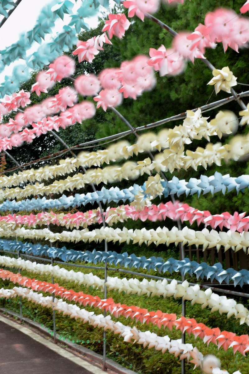 2023国庆 湘桂黔（44）康养玉屏