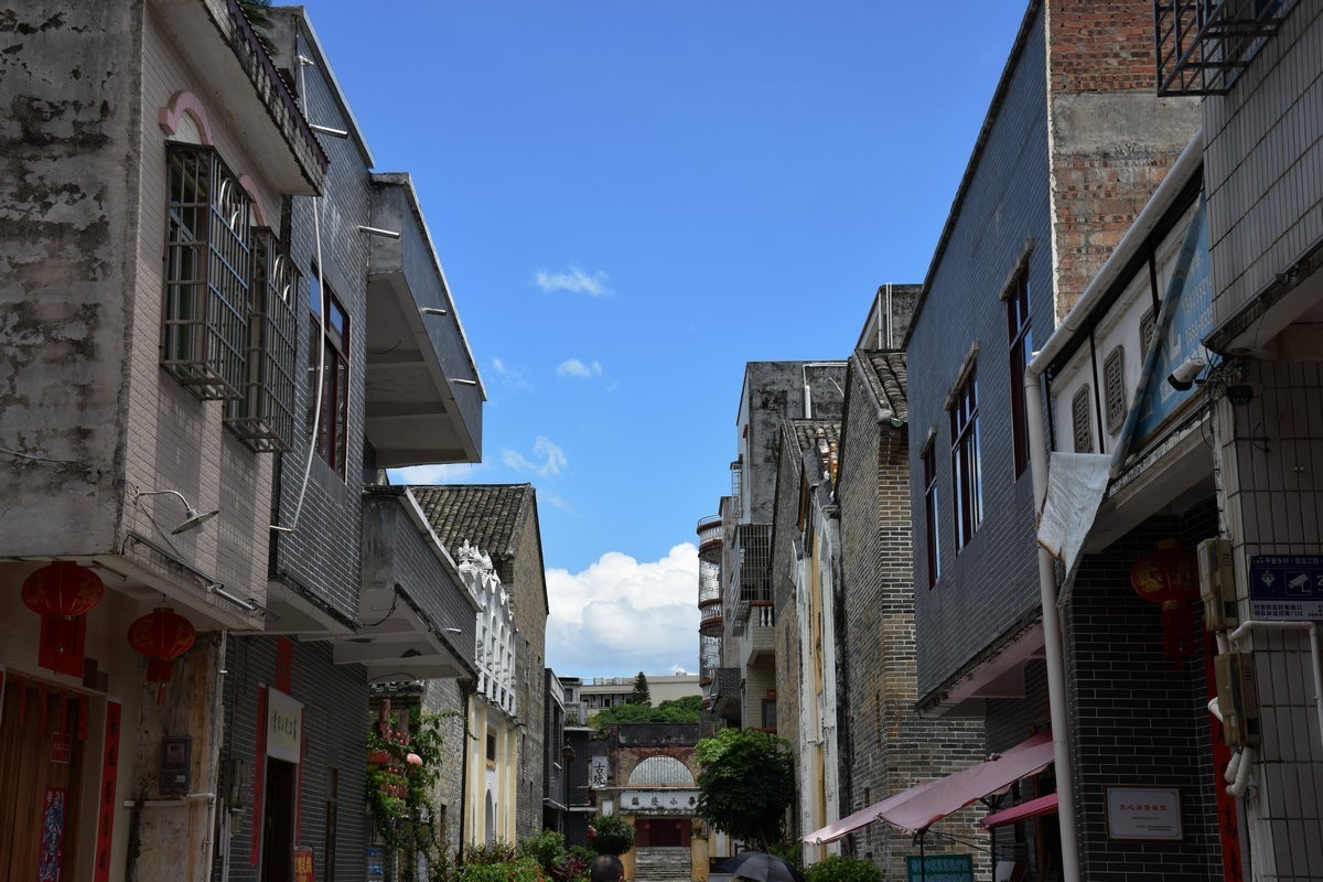 2024夏 海南环岛行（179）信宜沙街牛杂粉