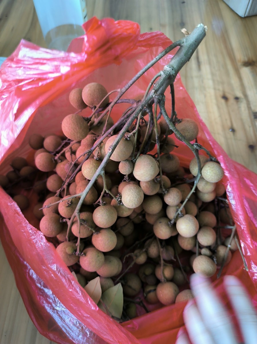 2024夏 海南环岛行（179）信宜沙街牛杂粉